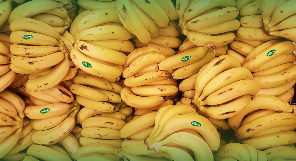 Pisang cavendish untuk olahraga