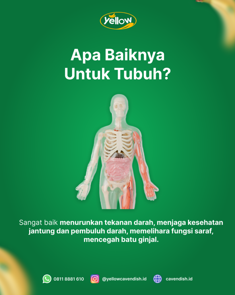 Manfaat Pisang Cavendish untuk olahraga