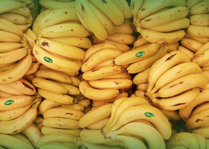 Pisang Cavendish Premium