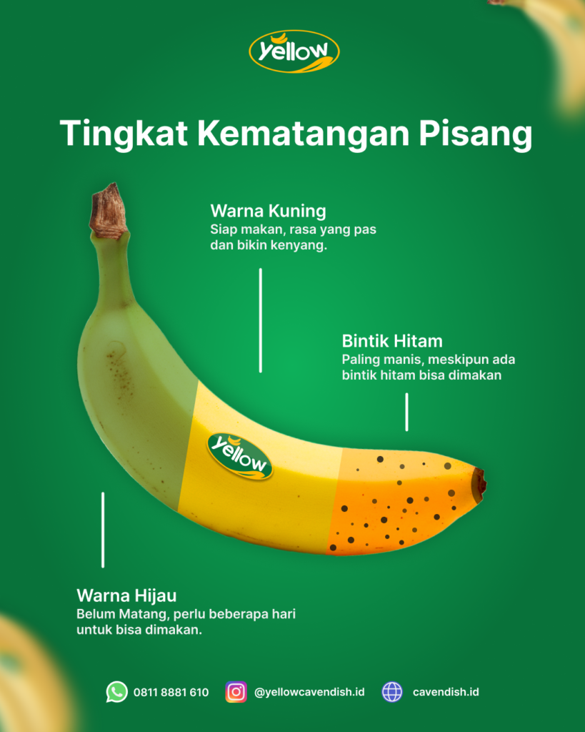 Pisang cavendish premium, 