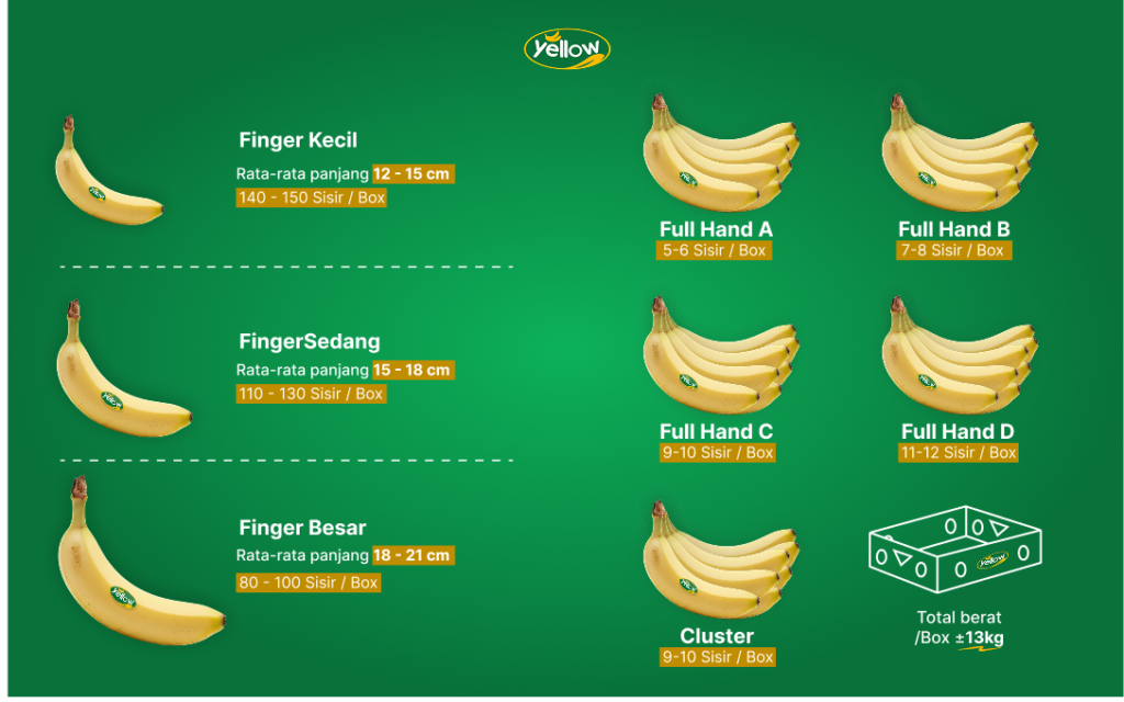 Produk Yellow Cavendish Pisang Cavendish