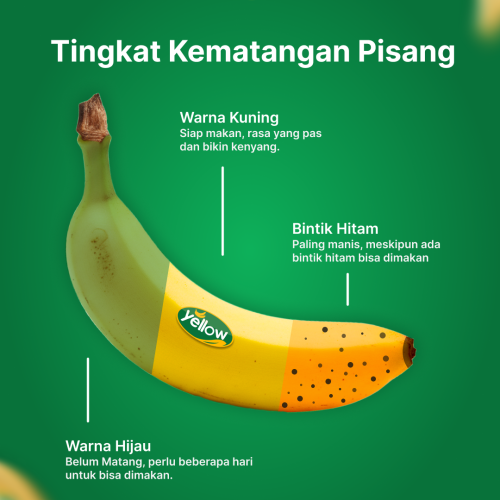 Pisang Cavendish
